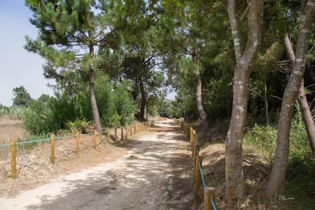 Areia Stayinn Beach Apartment Árvore Εξωτερικό φωτογραφία